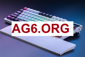 Shopify Rebellion vs 100 Thieves